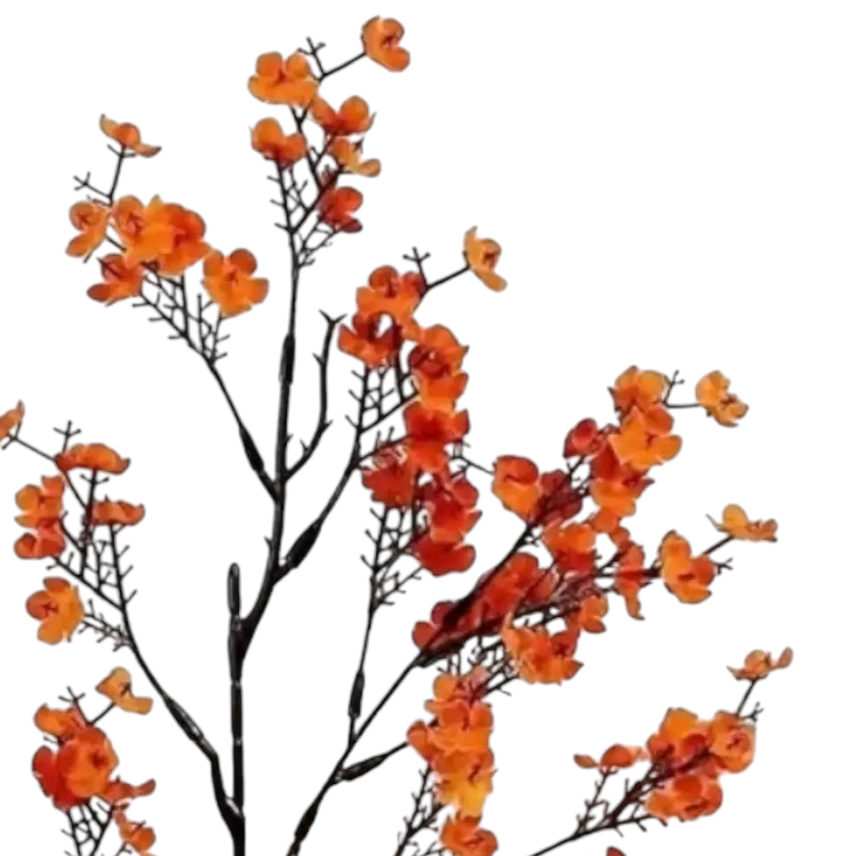 Artificial Autumnal Orange  Gypsophelia Stem, close-up of orange flower clusters on dark branching stems