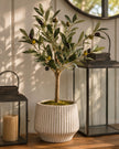 Small Artificial Faux Olive Tree - Romano