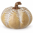 Autumn pumpkin topped with a decorative fern leaf design, from Heaven Sends, showcasing fall-inspired craft and seasonal decor.