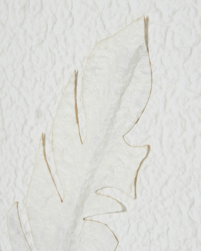 White feather wall art by Hill Interiors in a wooden frame, perfect for modern home decor.
