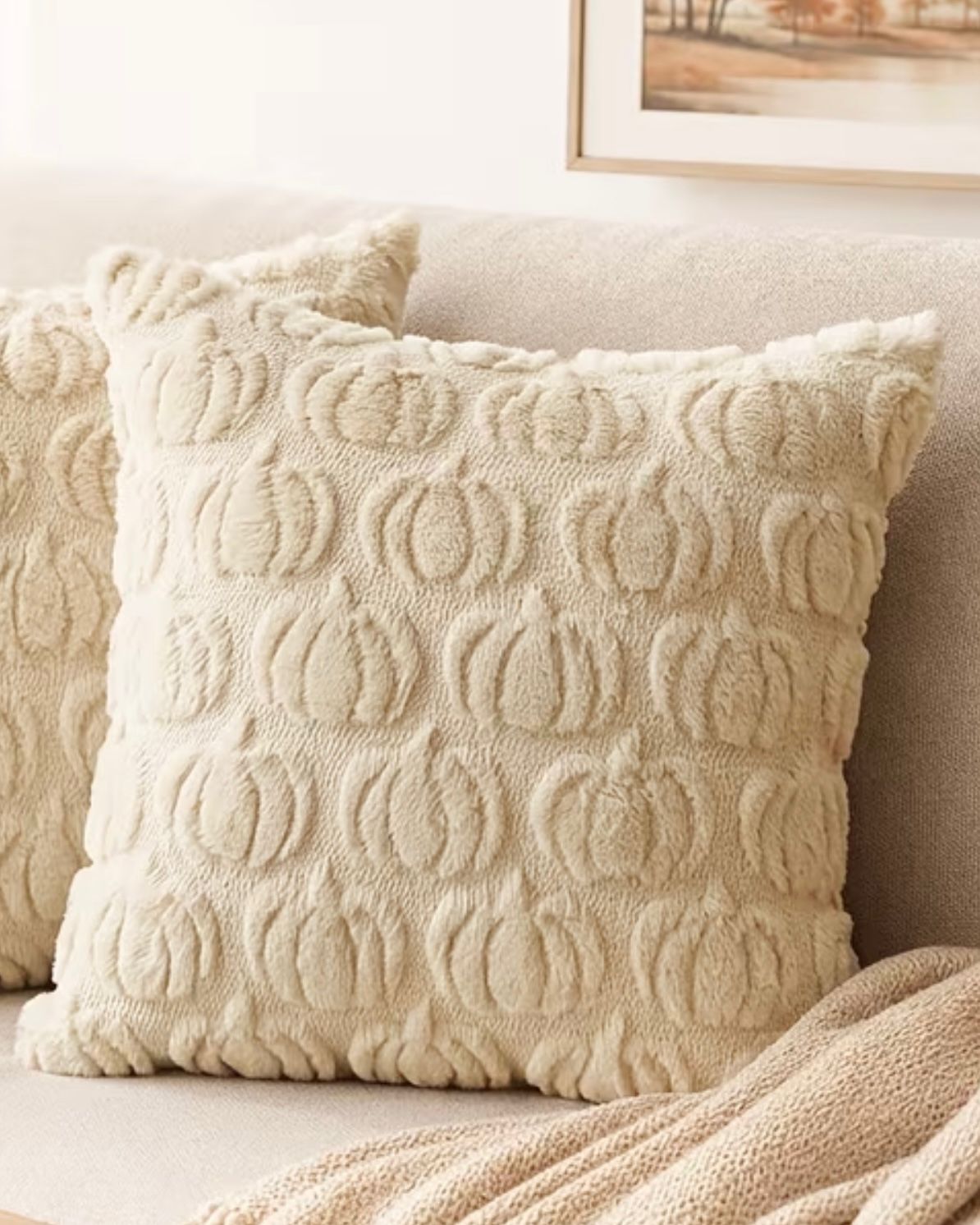 Cream Fluffy Multi Pumpkin Cushion Cover