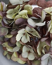 Artificial short dusky plum hydrangea stem from Starlight Express, showcasing vibrant plum-colored blooms and realistic foliage.