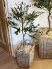 Small artificial faux olive tree from Hill Interiors, Calabria style, with realistic green leaves and a sturdy pot for home decor.