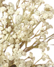 Artificial Cream Neutral Gypsophila stem from Starlight Express, showcasing delicate white blossoms on a realistic plant stem.