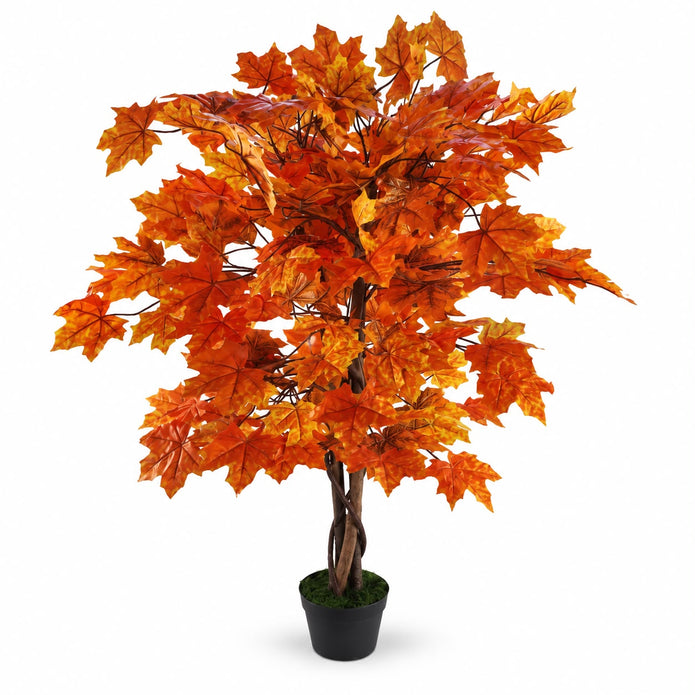 Autumn Orange Maple Leaf Foliage Tree