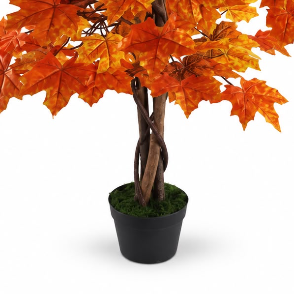 Autumn Orange Maple Leaf Foliage Tree