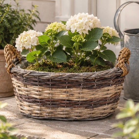 Satchville Meon Willow Oval Basket with handles, woven wicker basket suitable for storage or decorative use, natural finish.