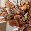 Artificial Autumnal Eucalyptus Stem