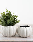 White Ceramic Pumpkin Plant Pot