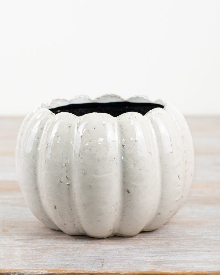 White Ceramic Pumpkin Plant Pot
