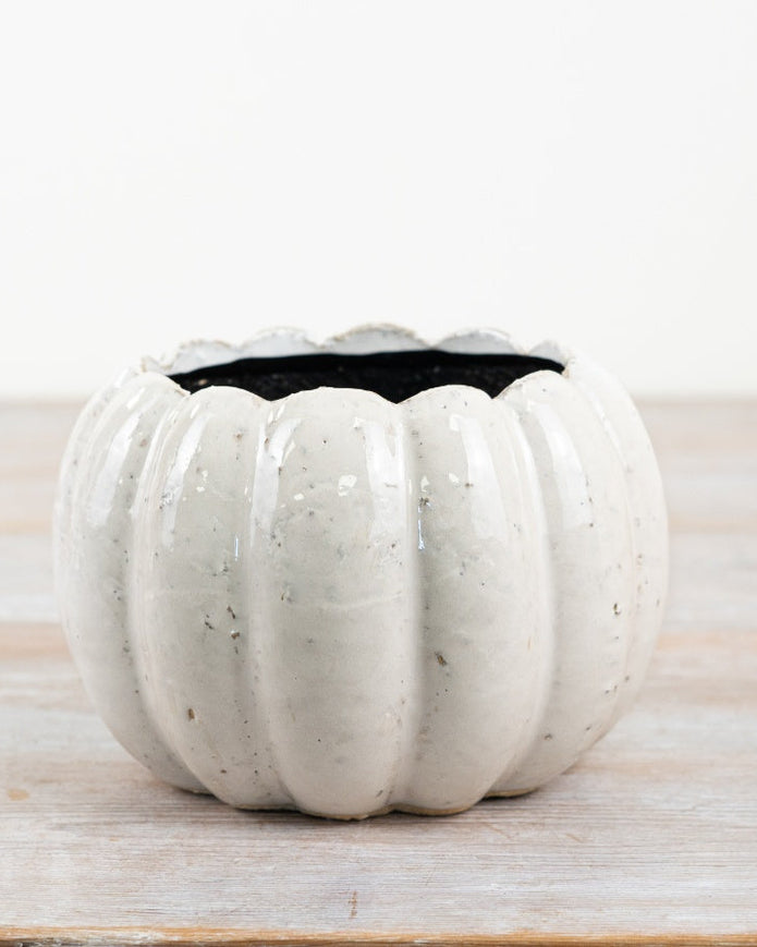 White Ceramic Pumpkin Plant Pot