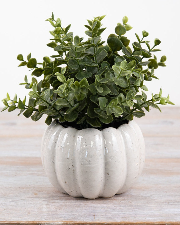 White Ceramic Pumpkin Plant Pot