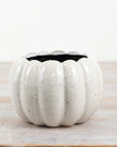 White Ceramic Pumpkin Plant Pot