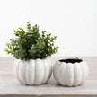 White Ceramic Pumpkin Plant Pot