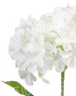 Artificial Tall Soft White Hydrangea Stem