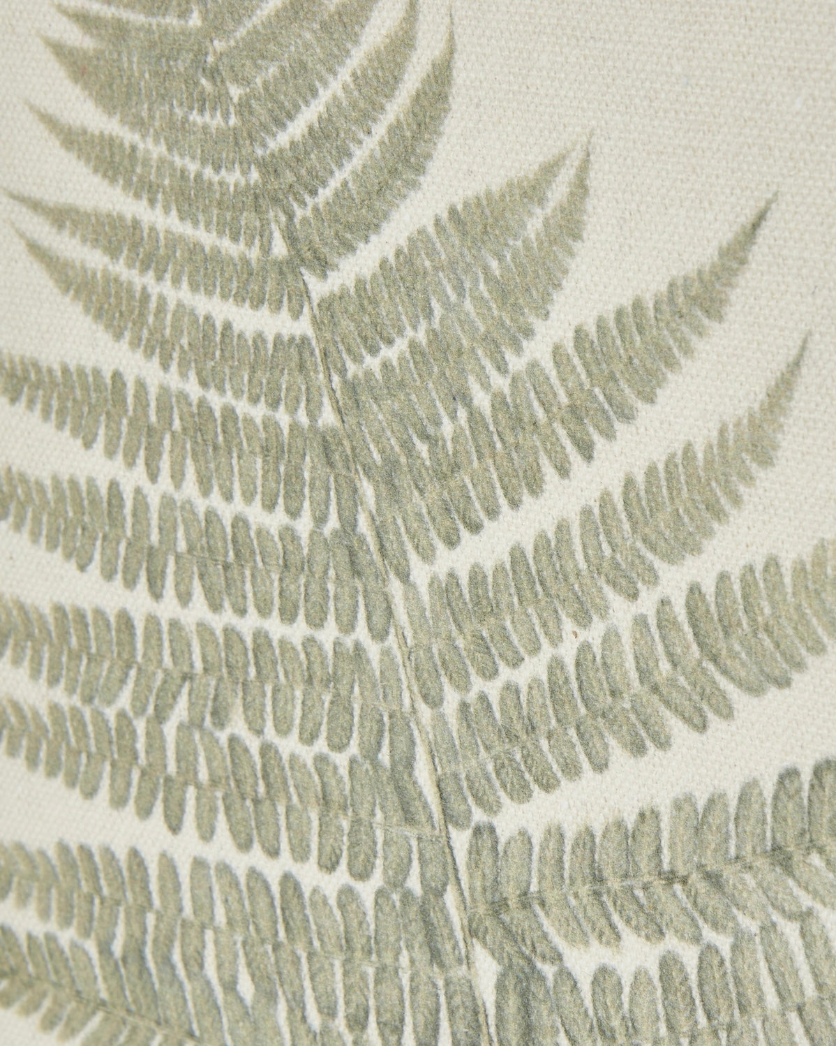 Wooden framed vintage wall art print of green ferns by Hill Interiors, showcasing botanical greenery for home decor.