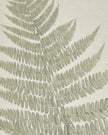 Wooden framed vintage wall art print of green ferns by Hill Interiors, showcasing botanical greenery for home decor.