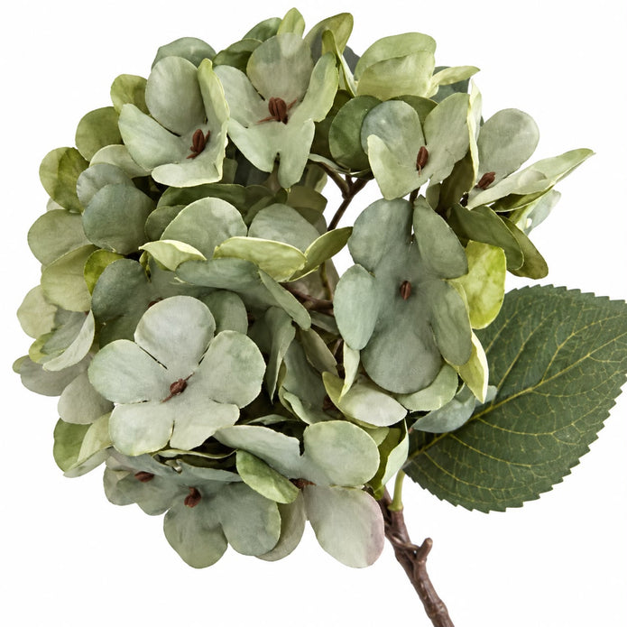 Artificial Short Sage Green Hydrangea Stem, close-up of sage green hydrangea petals