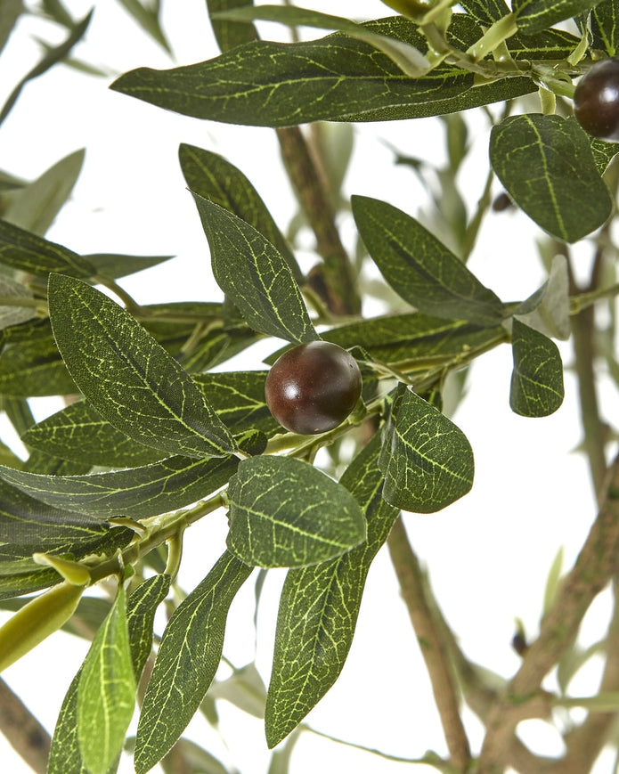 Large artificial faux olive tree from Hill Interiors, realistic green leaves and sturdy trunk, perfect for interior decor.