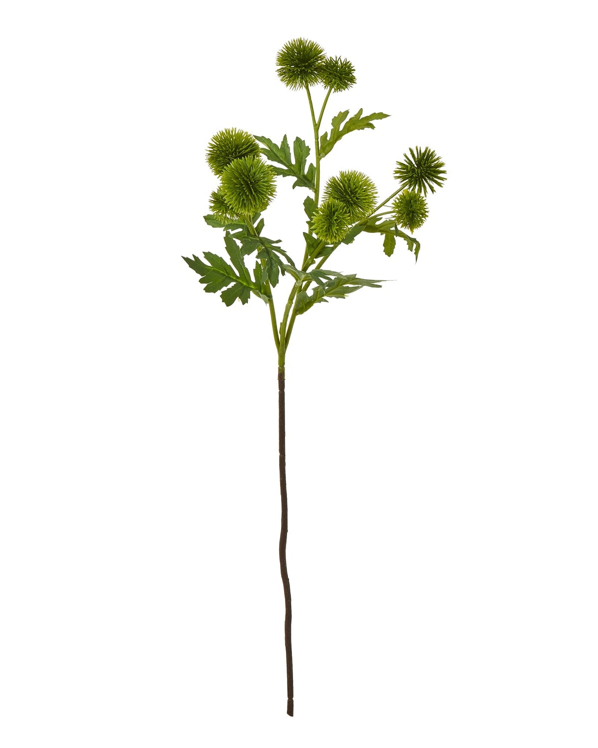 Artificial Green Globe Thistle Spray from Hill Interiors, showcasing vibrant green globe-shaped thistles on realistic stems.