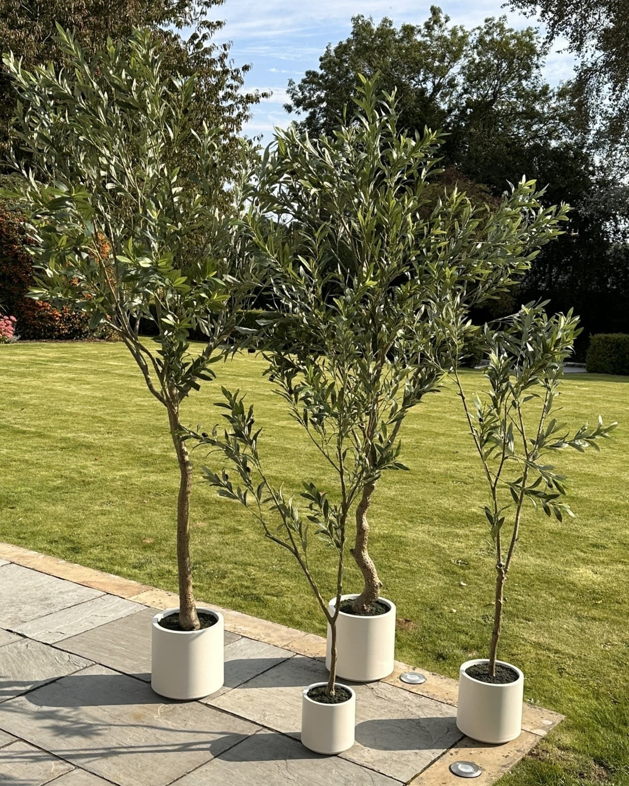 Large artificial faux olive tree by Hill Interiors, with realistic green leaves and a sturdy trunk, perfect for indoor or outdoor decor.