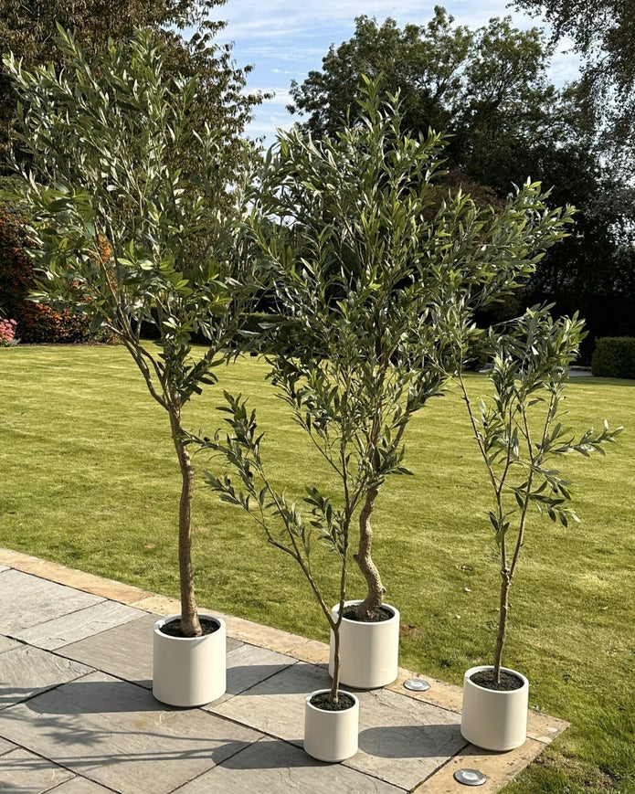 Large artificial faux olive tree by Hill Interiors, with realistic green leaves and a sturdy trunk, perfect for indoor or outdoor decor.