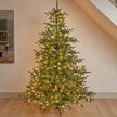 7ft InLit King Conifer with green branches and warm lights, standing in a room.