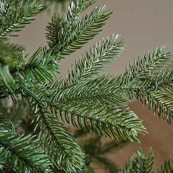 Close-up of green foliage on the InLit King Conifer Christmas tree.