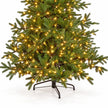Lower branches, warm lights and black stand of the InLit King Conifer Christmas tree.