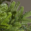 Close-up of the green needles on the InLit Regal KingTree Christmas tree.