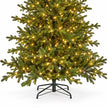 Lower green branches, warm lights and black stand of the InLit Regal KingTree Christmas tree.