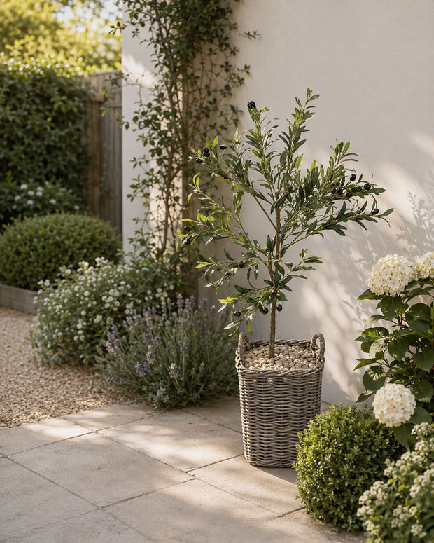 Small Artificial Faux Olive Tree - Calabria