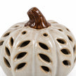 Neutral Ceramic Cut Out Light Up LED Tall Pumpkin – product view 8