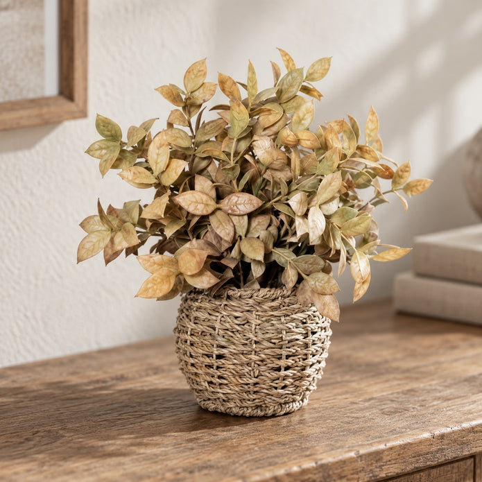 Autumnal Beige Foliage Plant In a Seagrass Planter