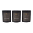 Sanctuary Candles Gift Set - Set Of Three