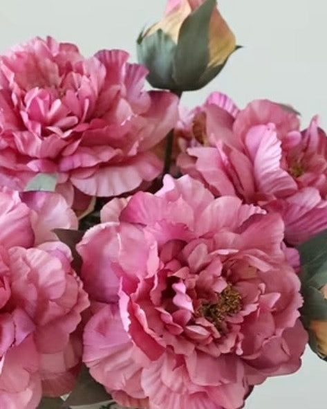 Artificial Fuchsia Pink Open Double Peony Flower Stem from Starlight Express, showcasing vibrant pink peony blossoms on a realistic stem.