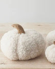 White Sherpa Pumpkin