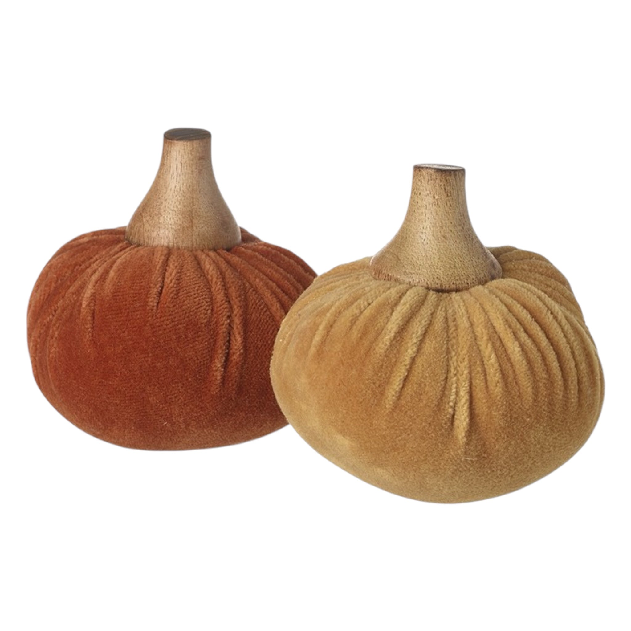 Large Velvet Pumpkin With Wooden Stem