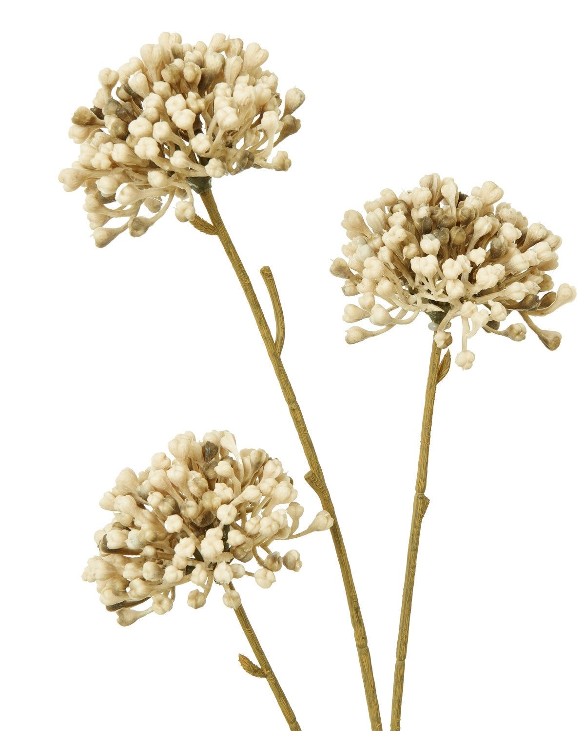 Artificial brown Allium stem plant from Hill Interiors, showcasing realistic floral design for home decor.