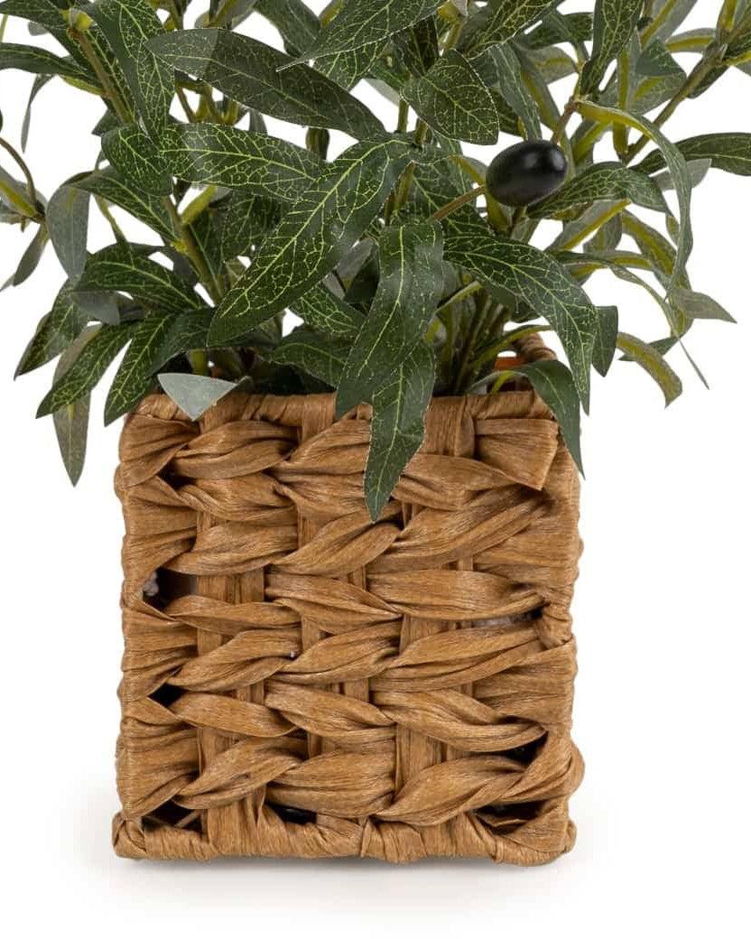 Artificial Large Olive Plants in Wicker Basket