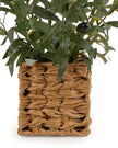 Artificial Large Olive Plants in Wicker Basket