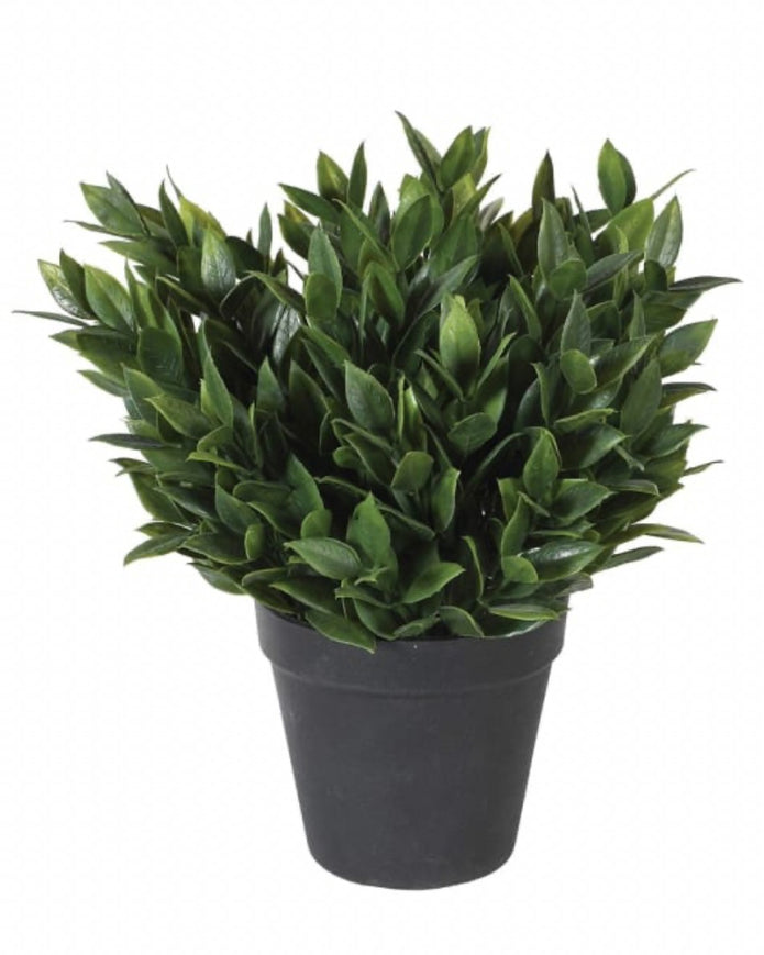 Artificial potted bay plant from Coach House with lush green leaves in a decorative pot, perfect for indoor or outdoor decor.