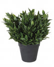 Artificial potted bay plant from Coach House with lush green leaves in a decorative pot, perfect for indoor or outdoor decor.