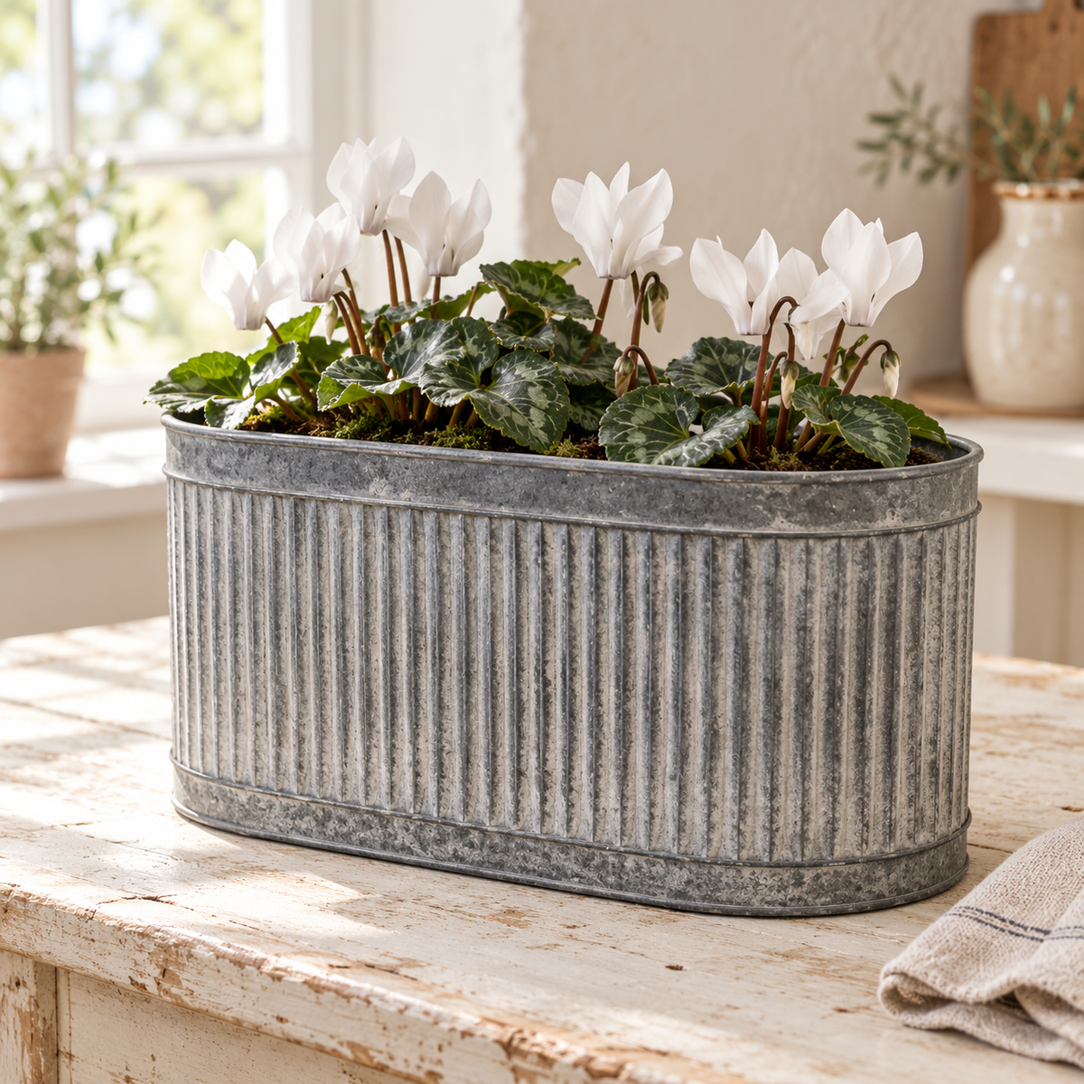 Ribbed Oval Galvanised Metal Planter Troughs - Set of Three
