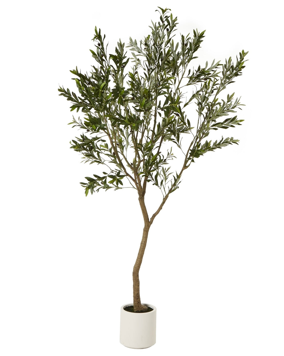 Large artificial faux olive tree from Hill Interiors, showcasing realistic green leaves and a sturdy trunk for home decor.