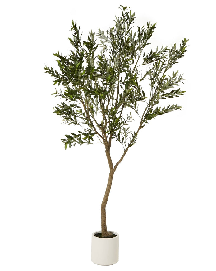 Large artificial faux olive tree from Hill Interiors, showcasing realistic green leaves and a sturdy trunk for home decor.