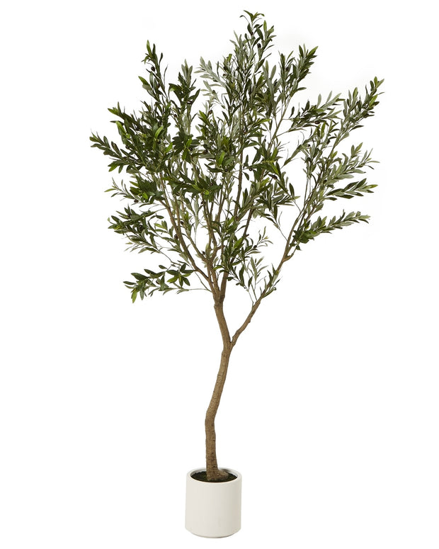 Large artificial faux olive tree from Hill Interiors, showcasing realistic green leaves and a sturdy trunk for home decor.