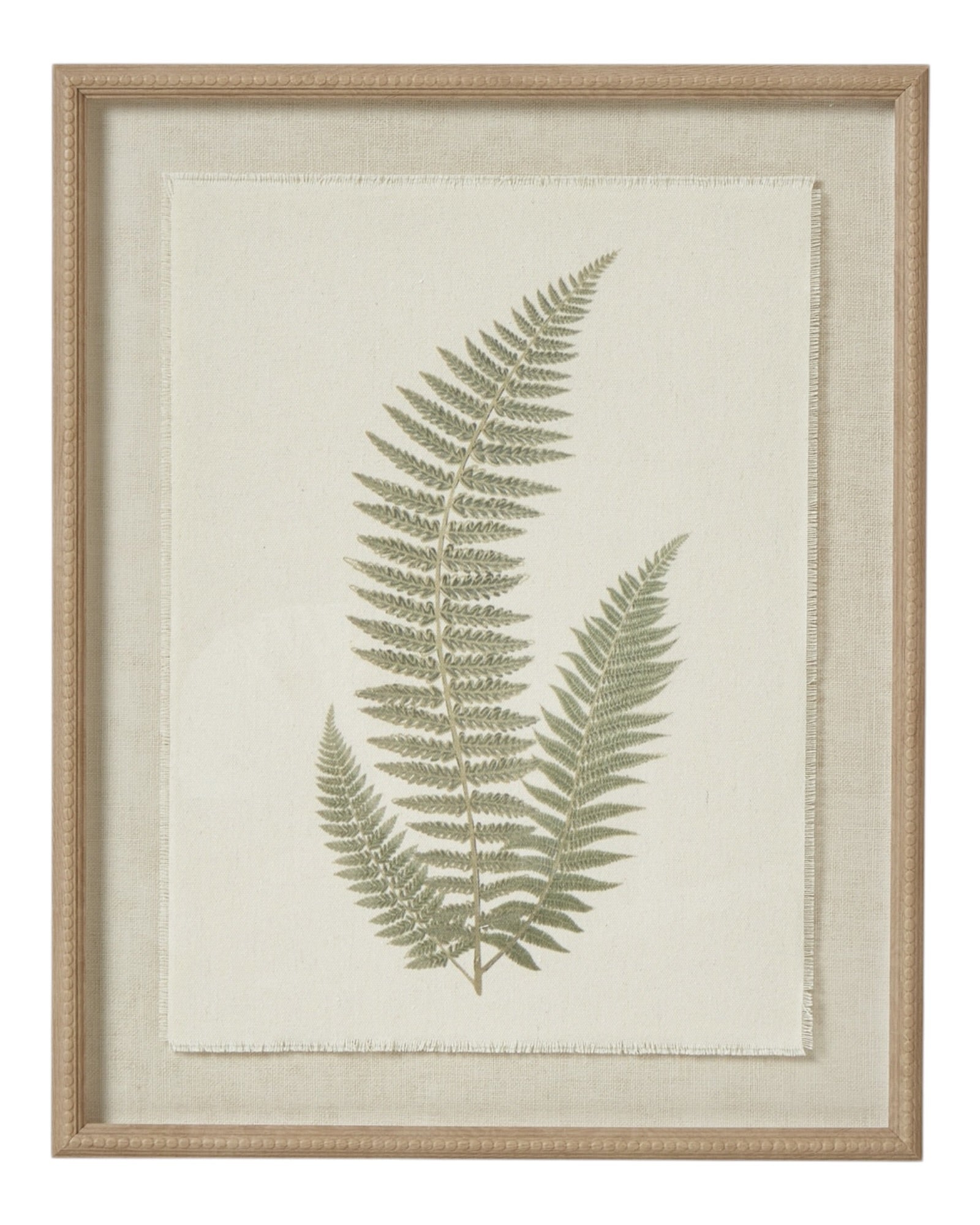 Wooden framed vintage wall art print featuring green ferns, decorative wall decor by Hill Interiors