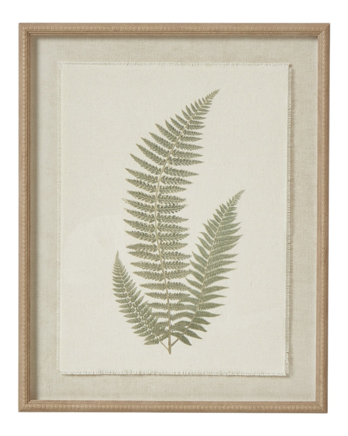 Wooden framed vintage wall art print featuring green ferns, decorative wall decor by Hill Interiors