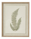 Wooden framed vintage wall art print featuring green ferns, decorative wall decor by Hill Interiors